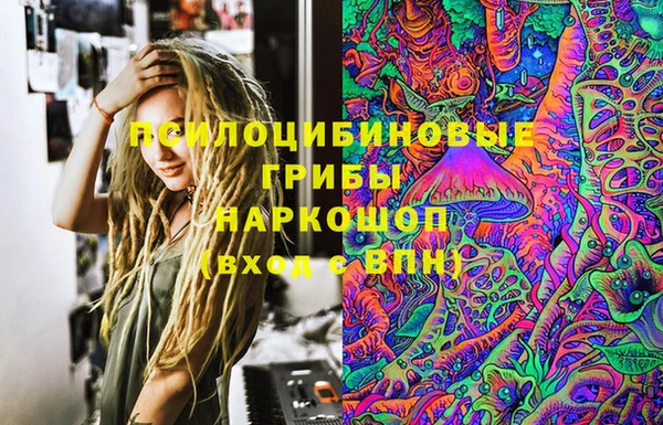 крисы Верхнеуральск