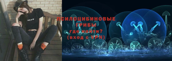 экстази Бородино