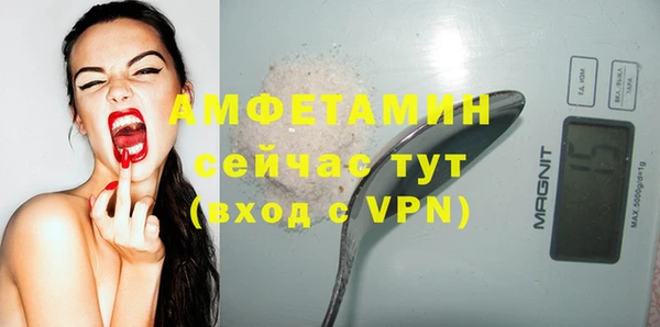 стаф Верея