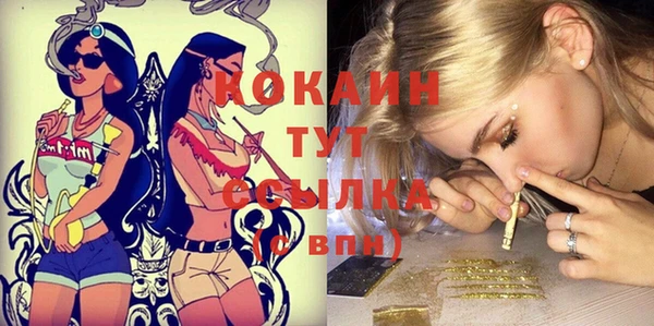 стаф Верея