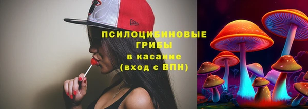 mdpv Бронницы