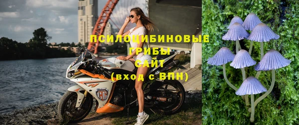 экстази Бородино