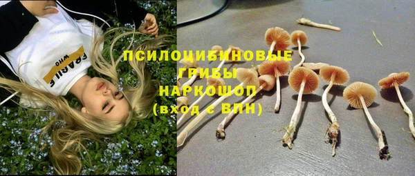 прущая мука Бугульма
