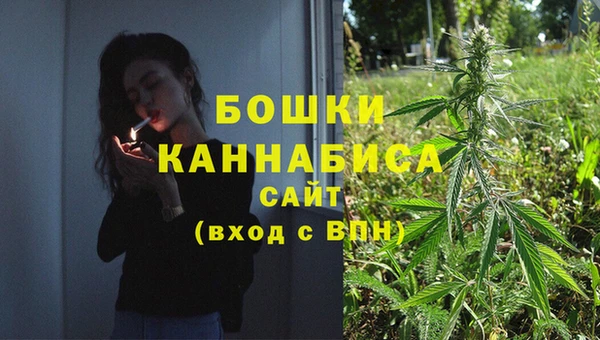 экстази Бородино
